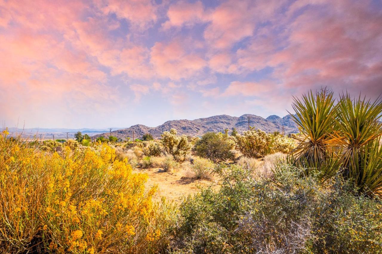 @ Marbella Lane - Modern Rustic Home In Jt Joshua Tree Bagian luar foto